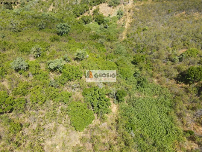 Terreno Agricola ou Rústico para Venda em São Barnabe Foto 15