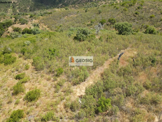 Terreno Agricola ou Rústico para Venda em São Barnabe Foto 10