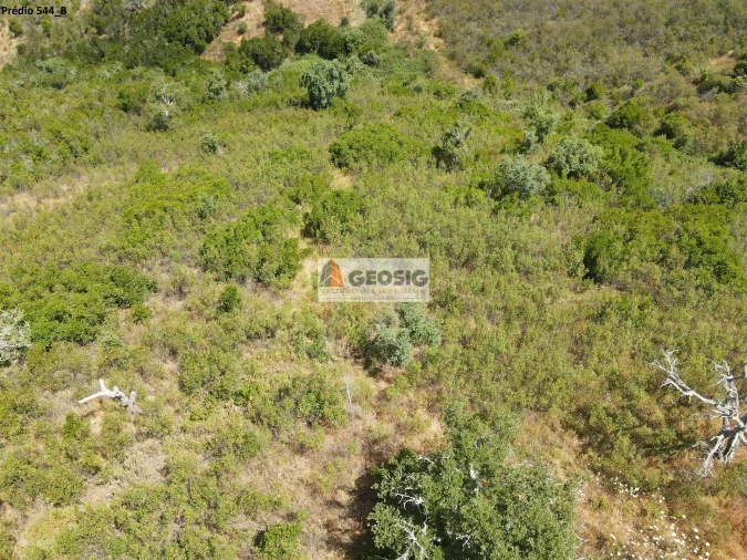 Terreno Agricola ou Rústico para Venda em São Barnabe Foto 12