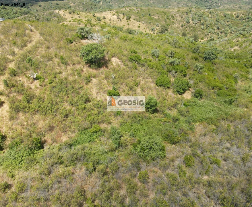 Terreno Agricola ou Rústico para Venda em São Barnabe Foto 18