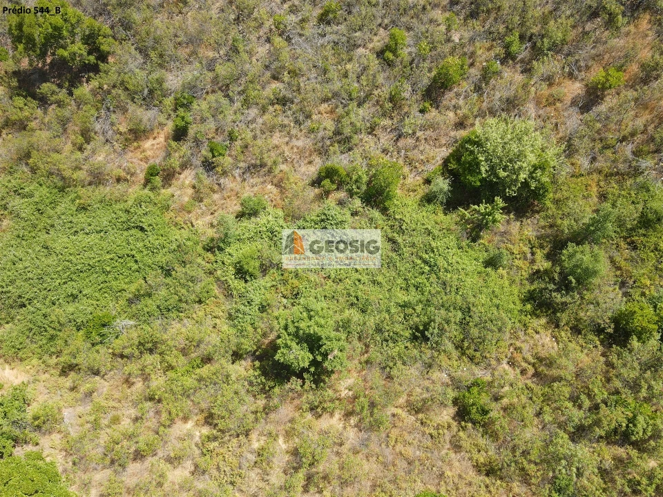 Terreno Agricola ou Rústico para Venda em São Barnabe Foto 14