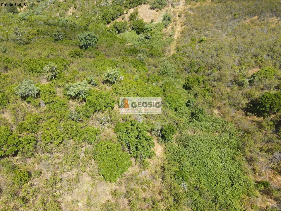 Terreno Agricola ou Rústico para Venda em São Barnabe Foto 15