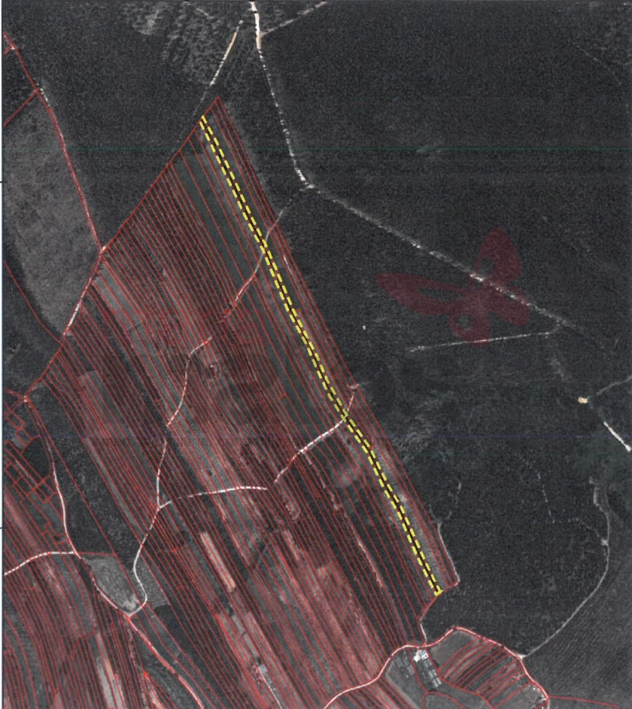 Terreno para Venda em Olho Marinho Foto 5