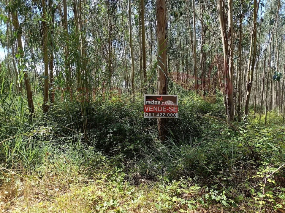 Terreno para Venda em Olho Marinho Foto 1