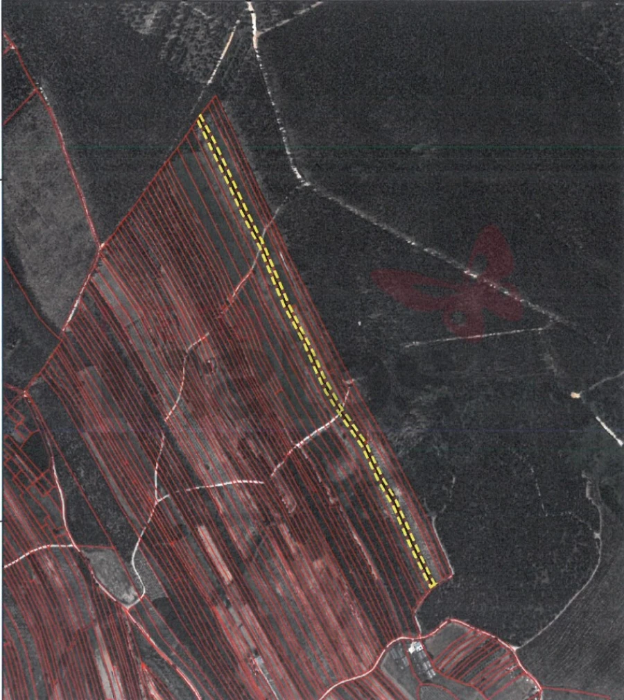 Terreno para Venda em Olho Marinho Foto 5