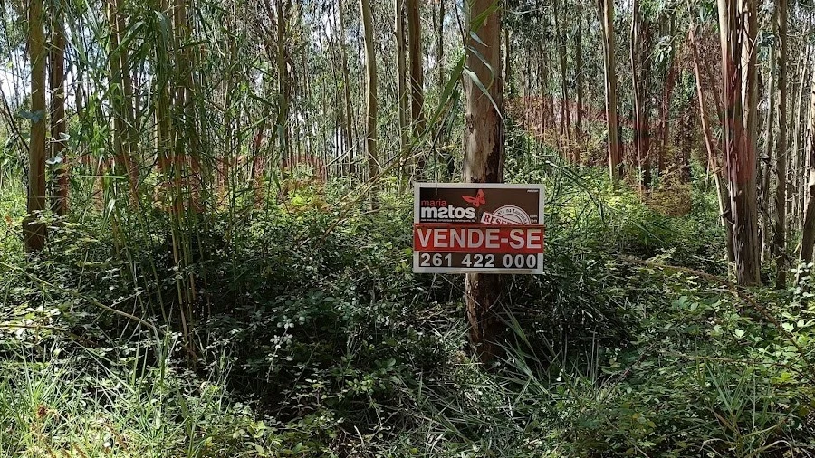 Terreno Agricola ou Rústico para Venda em Olho Marinho