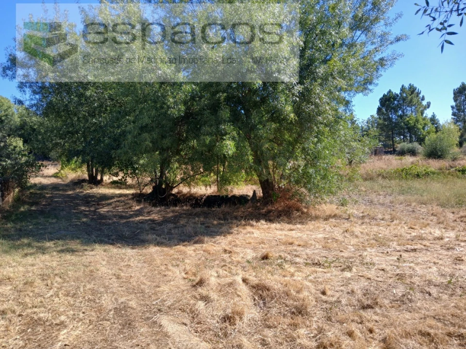 Quinta para Venda em Póvoa de Rio de Moinhos e Cafede Foto 4