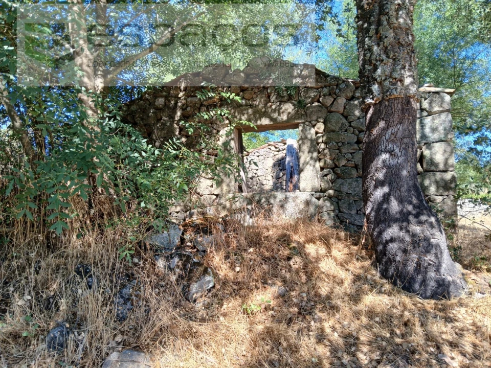 Quinta para Venda em Póvoa de Rio de Moinhos e Cafede Foto 3