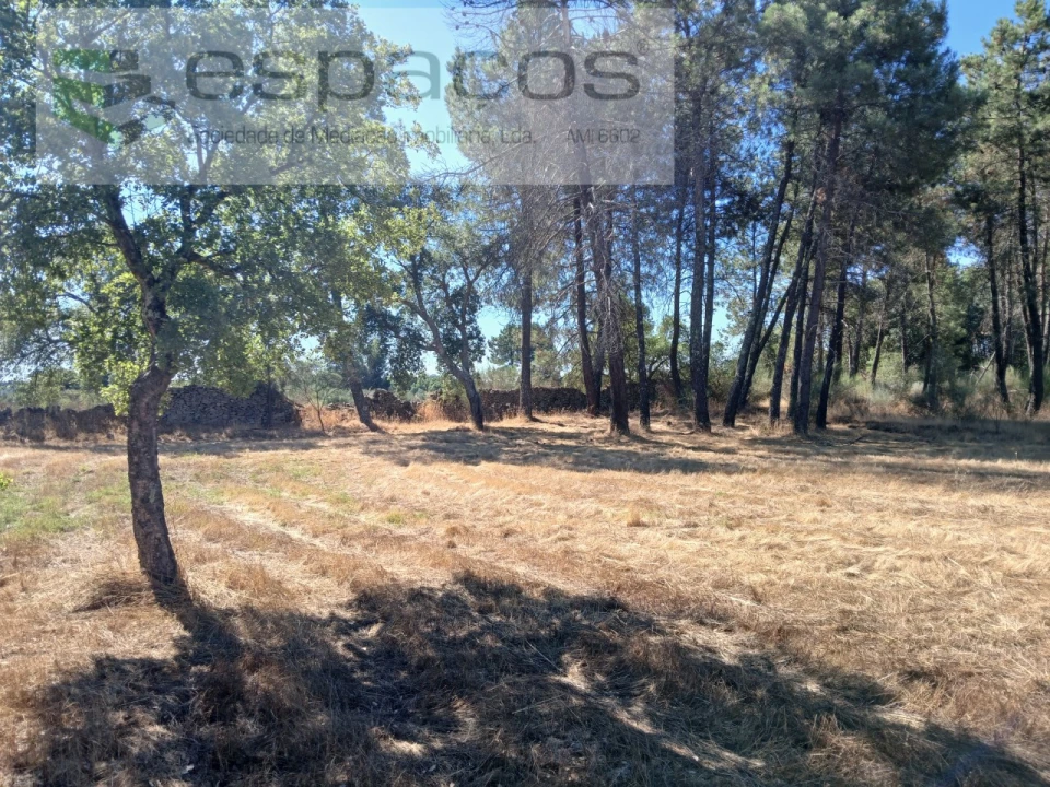 Quinta para Venda em Póvoa de Rio de Moinhos e Cafede Foto 7