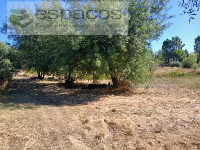 Quinta para Venda em Póvoa de Rio de Moinhos e Cafede Foto 4