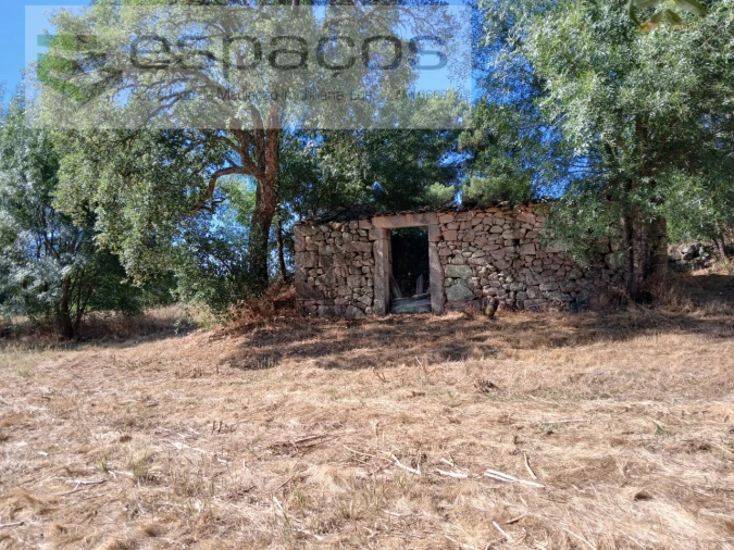 Quinta para Venda em Póvoa de Rio de Moinhos e Cafede