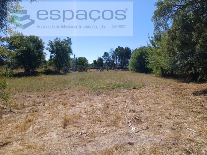 Quinta para Venda em Póvoa de Rio de Moinhos e Cafede Foto 5