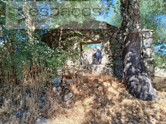 Quinta para Venda em Póvoa de Rio de Moinhos e Cafede Foto 3