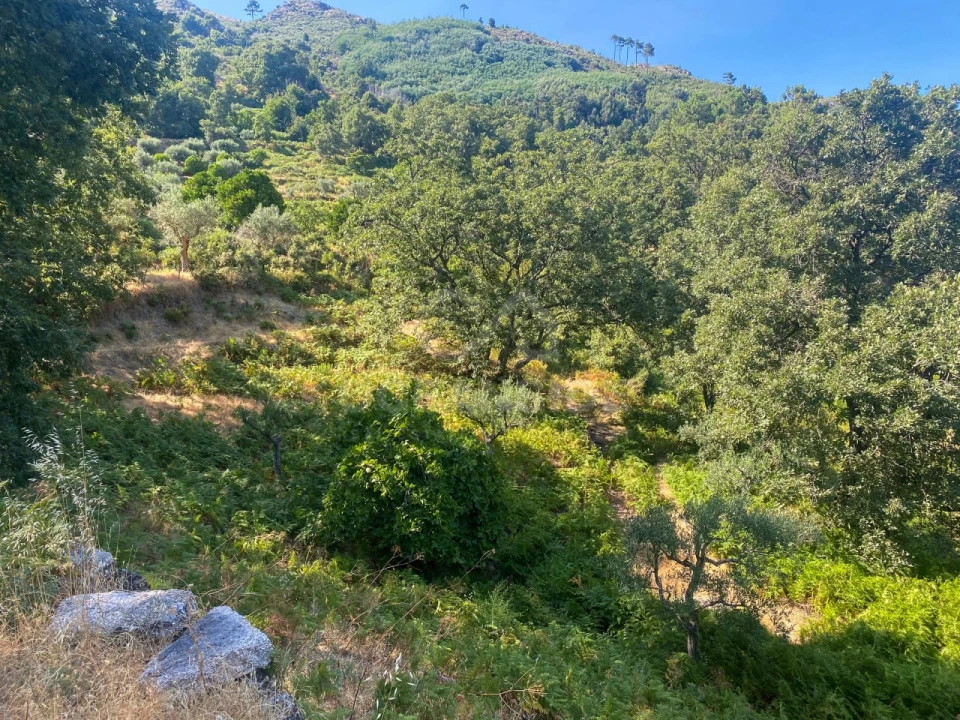 Quinta T1 para Venda em Alpedrinha Foto 46