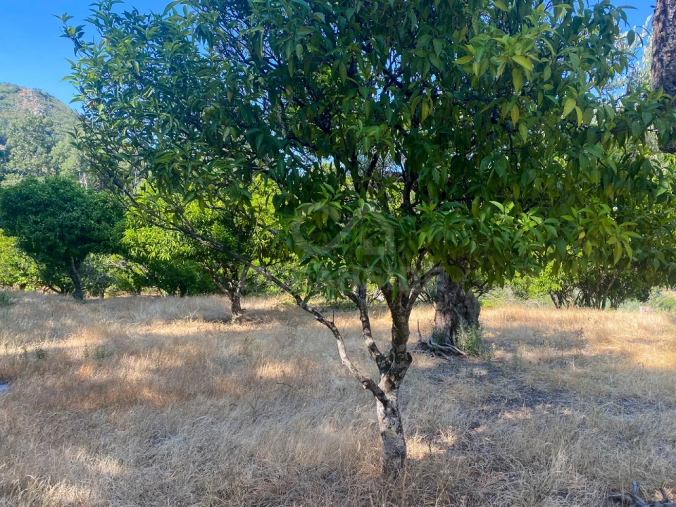 Quinta T1 para Venda em Alpedrinha Foto 58
