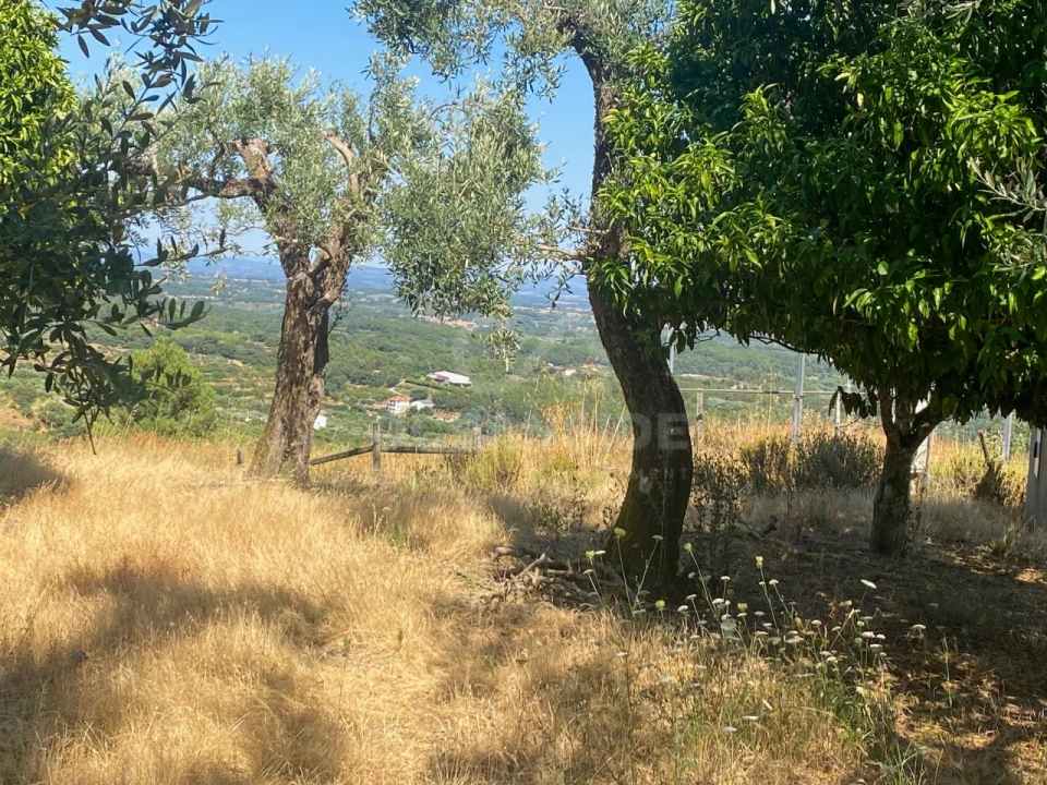 Quinta T1 para Venda em Alpedrinha Foto 59