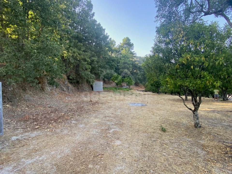 Quinta T1 para Venda em Alpedrinha Foto 69