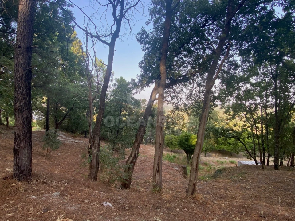 Quinta T1 para Venda em Alpedrinha Foto 70