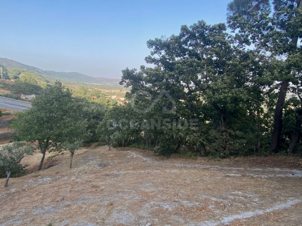 Quinta T1 para Venda em Alpedrinha Foto 78