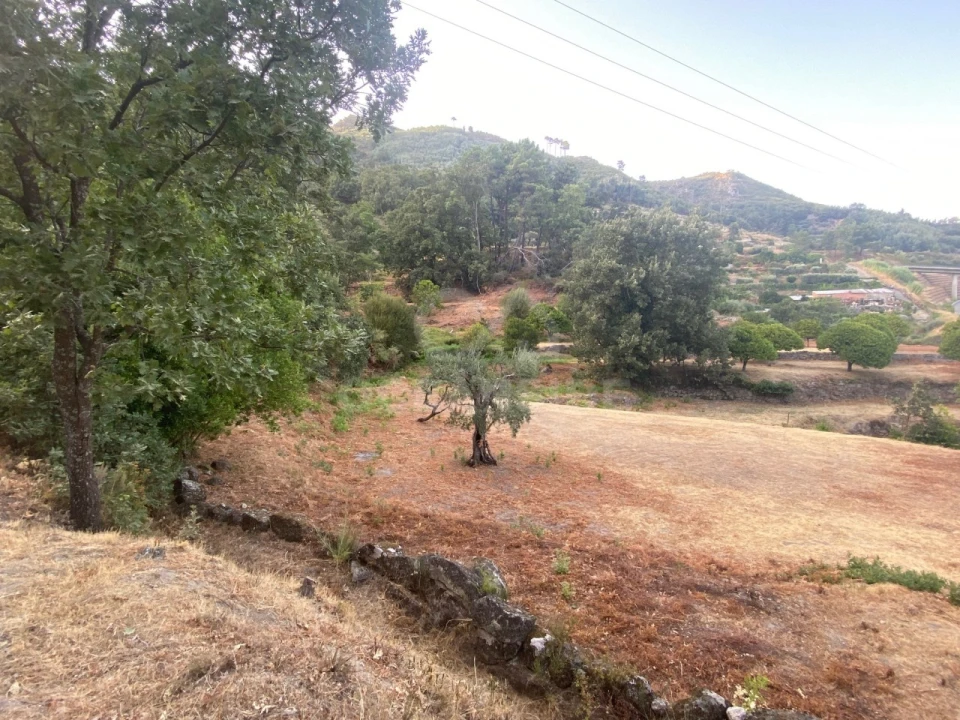 Quinta T1 para Venda em Alpedrinha Foto 84