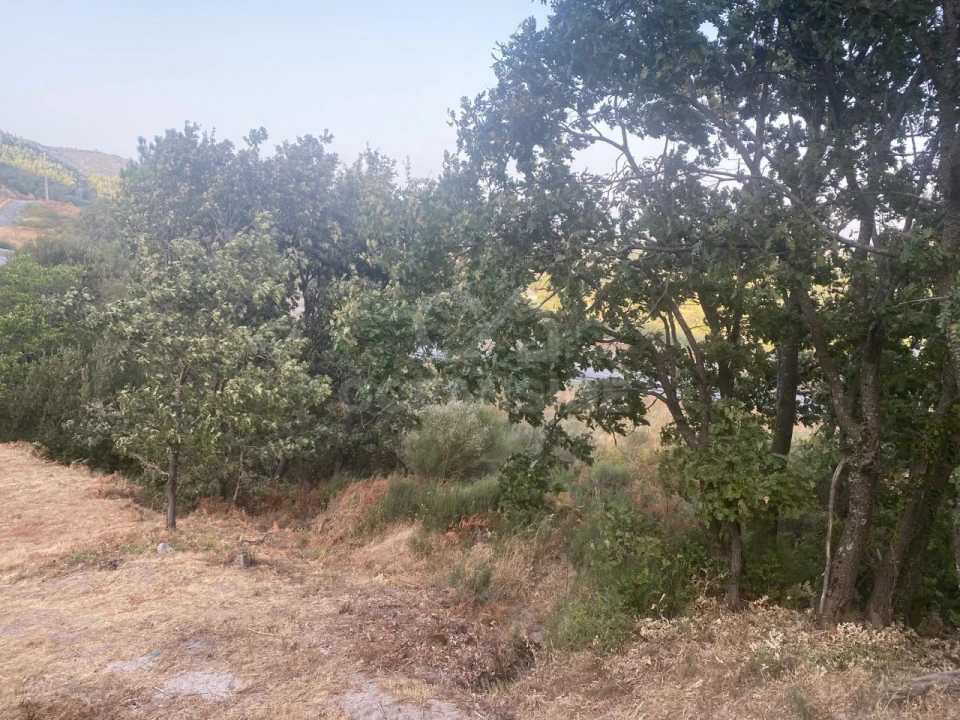 Quinta T1 para Venda em Alpedrinha Foto 86