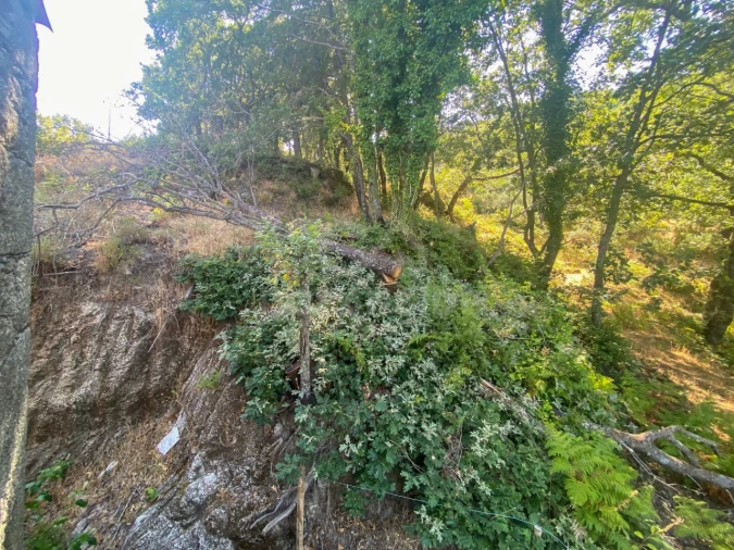 Quinta T1 para Venda em Alpedrinha Foto 68