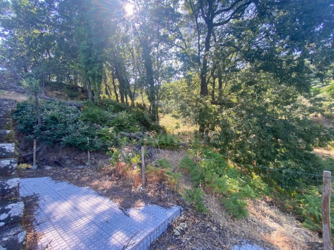 Quinta T1 para Venda em Alpedrinha Foto 47