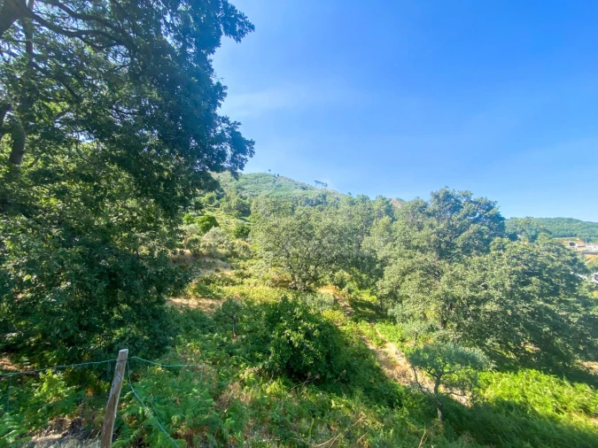 Quinta T1 para Venda em Alpedrinha Foto 48