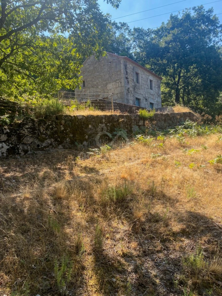 Quinta T1 para Venda em Alpedrinha Foto 51