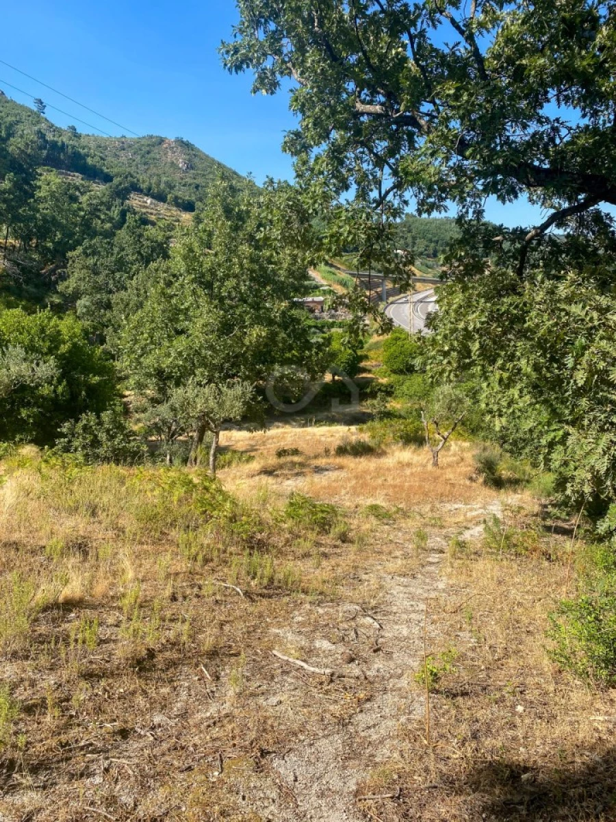 Quinta T1 para Venda em Alpedrinha Foto 52