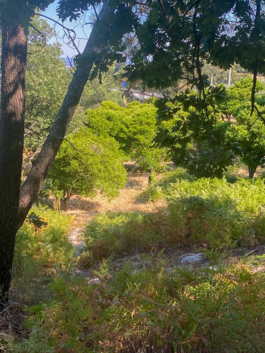 Quinta T1 para Venda em Alpedrinha Foto 54