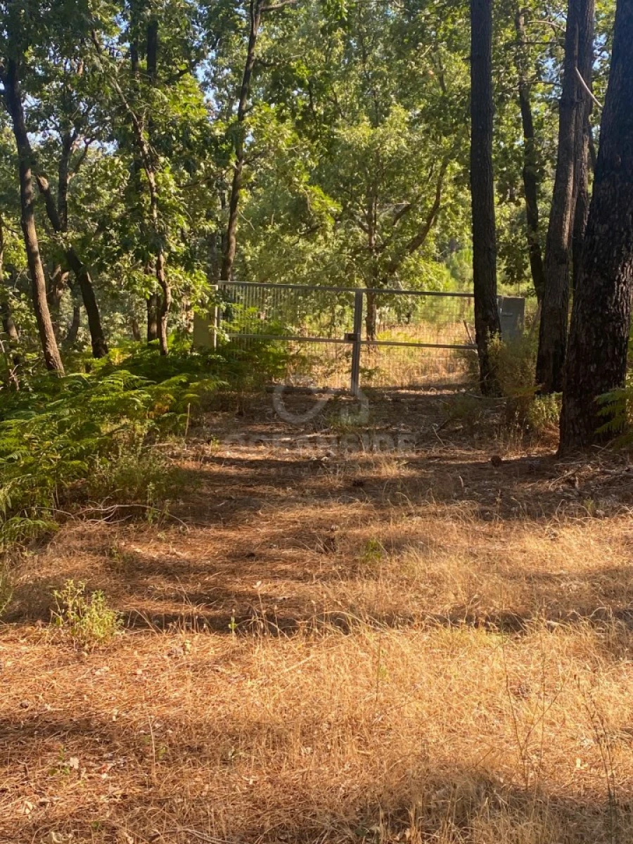 Quinta T1 para Venda em Alpedrinha Foto 55