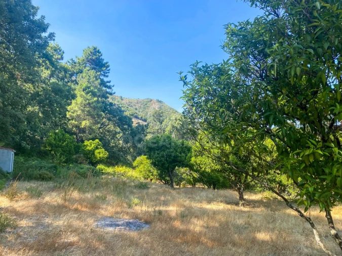 Quinta T1 para Venda em Alpedrinha Foto 60