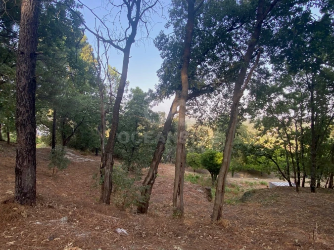 Quinta T1 para Venda em Alpedrinha Foto 70