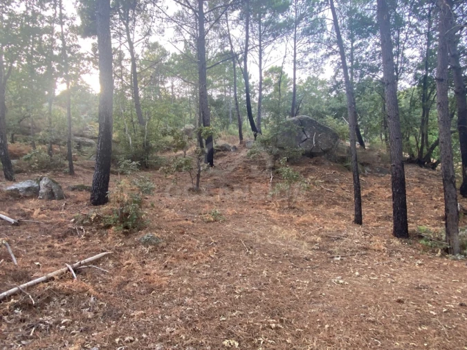 Quinta T1 para Venda em Alpedrinha Foto 71