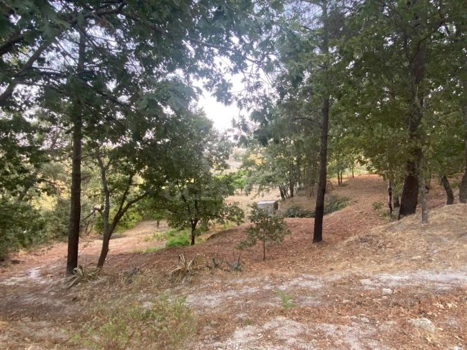 Quinta T1 para Venda em Alpedrinha Foto 73