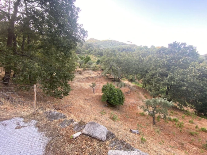 Quinta T1 para Venda em Alpedrinha Foto 75