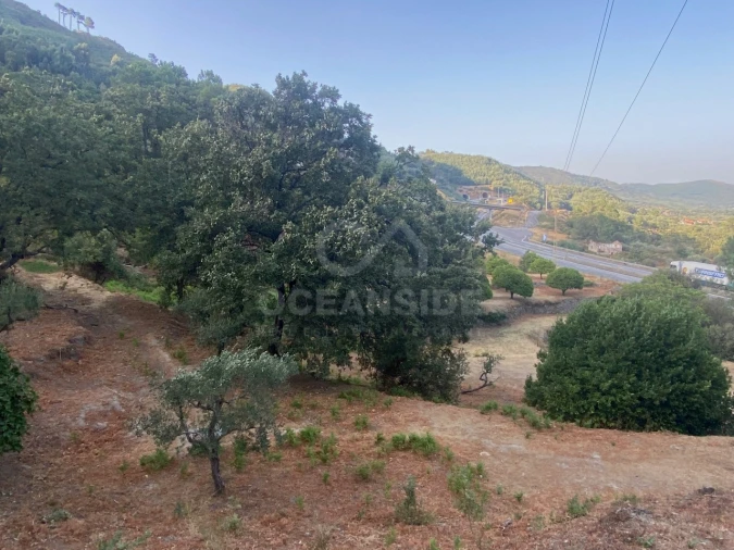 Quinta T1 para Venda em Alpedrinha Foto 77