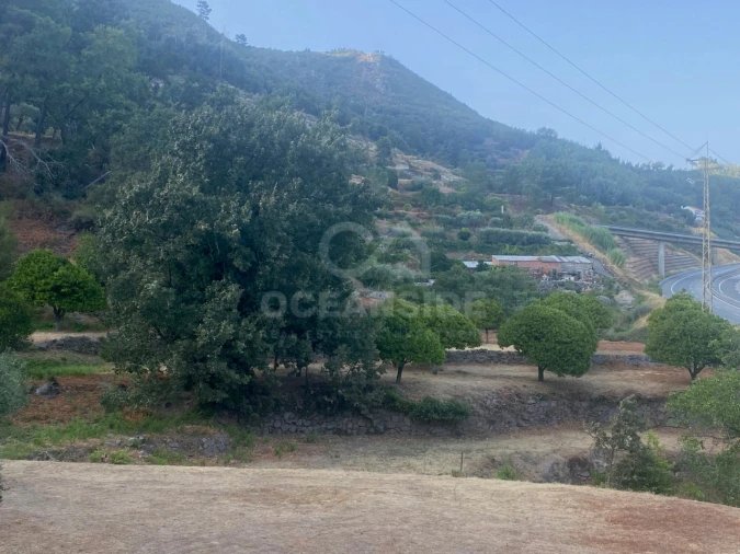 Quinta T1 para Venda em Alpedrinha Foto 87