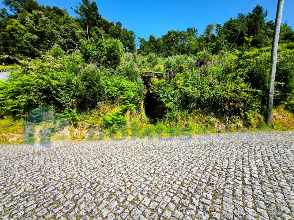 Terreno para Venda em Ansiães Foto 2
