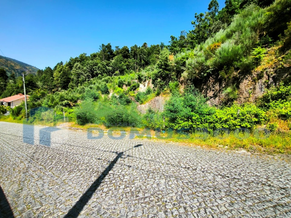 Terreno para Venda em Ansiães Foto 3