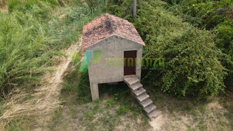 Terreno Agricola ou Rústico para Venda em Silves Foto 4