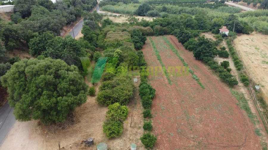 Terreno Agricola ou Rústico para Venda em Silves Foto 11