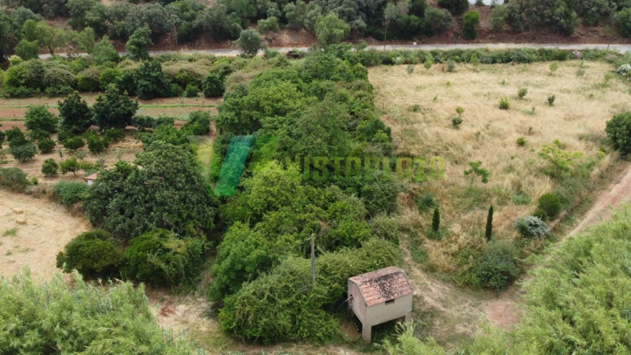 Terreno Agricola ou Rústico para Venda em Silves Foto 19
