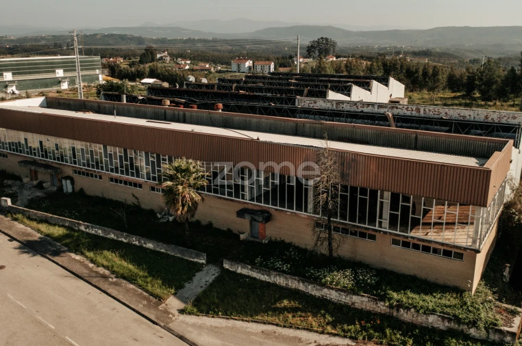Terreno Comércio / Armazém para Venda em Penacova Foto 36
