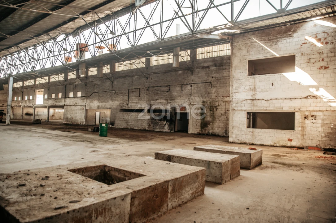 Terreno Comércio / Armazém para Venda em Penacova Foto 11