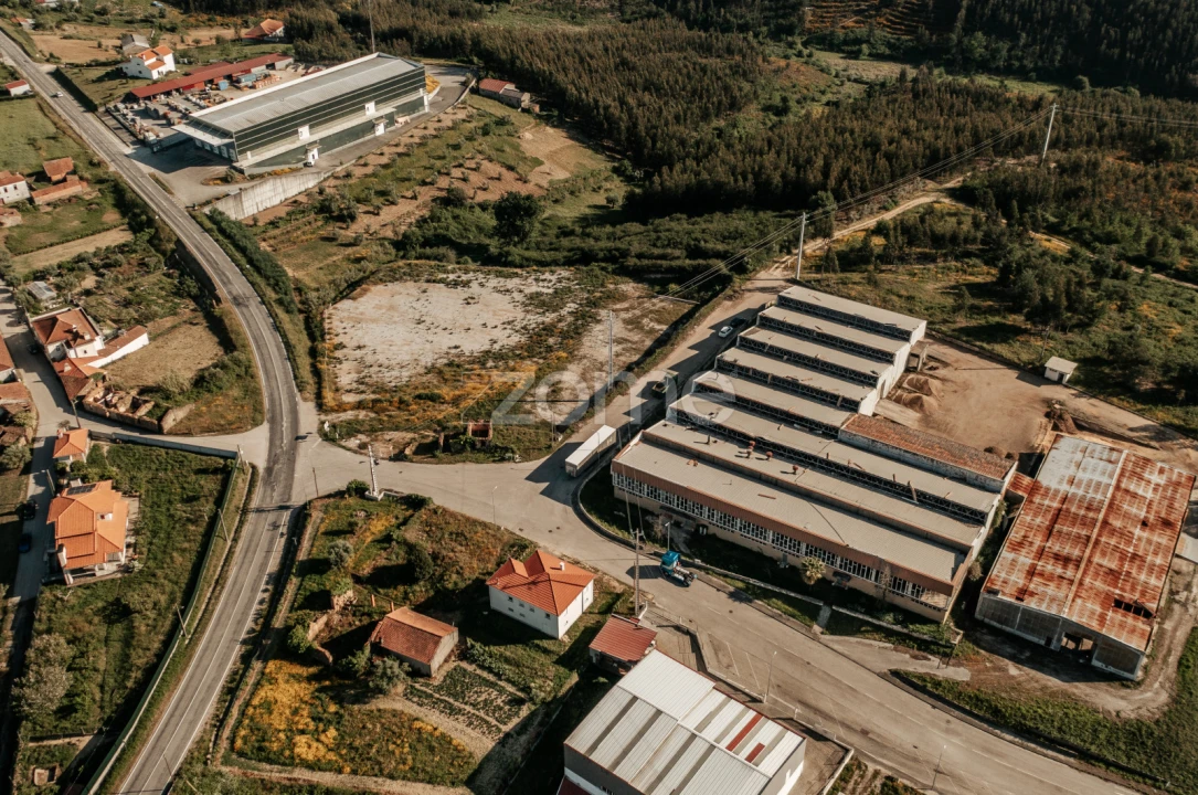 Terreno Comércio / Armazém para Venda em Penacova Foto 28