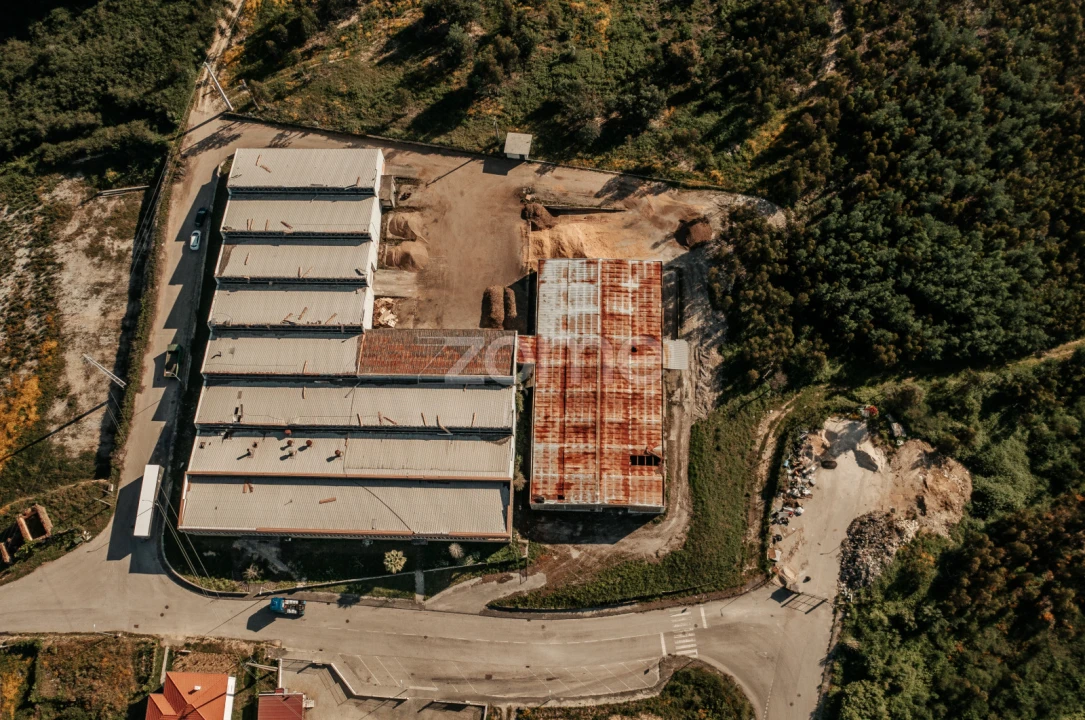 Terreno Comércio / Armazém para Venda em Penacova Foto 30