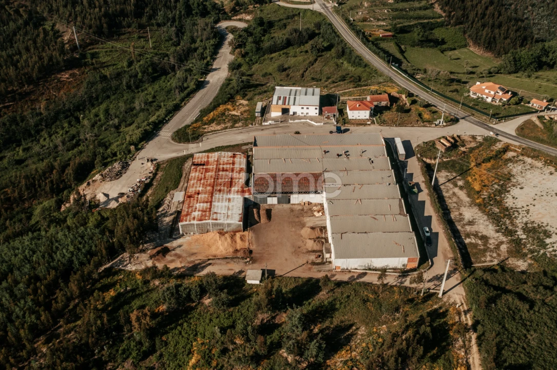 Terreno Comércio / Armazém para Venda em Penacova Foto 1