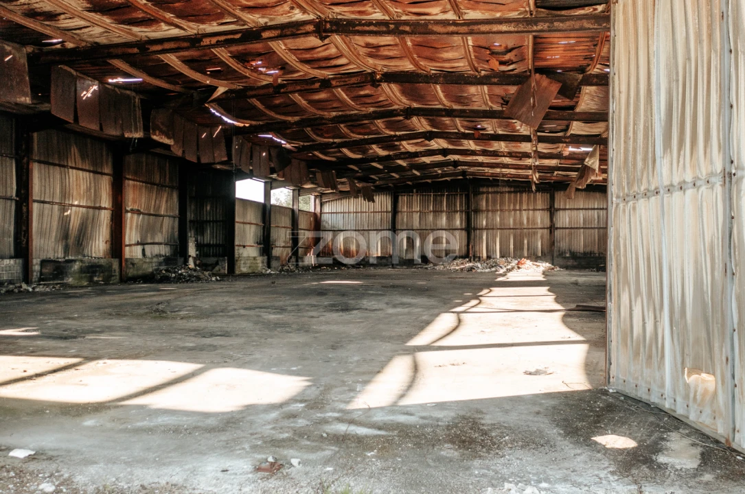 Terreno Comércio / Armazém para Venda em Penacova Foto 38